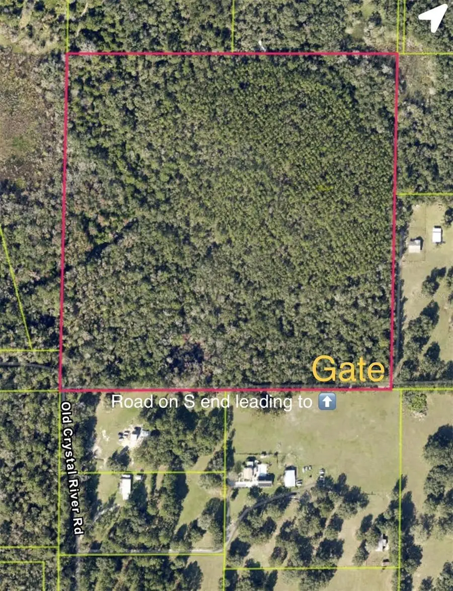 Old Crystal River Road, Brooksville, FL 34601 - #3