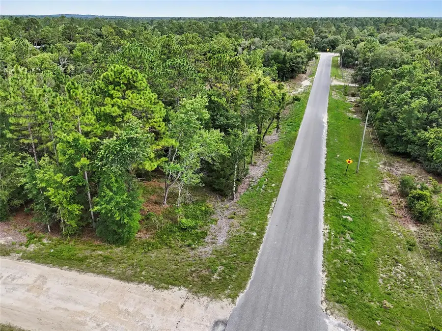 TBD SE 218th Avenue, Morriston, FL 32668 - #3