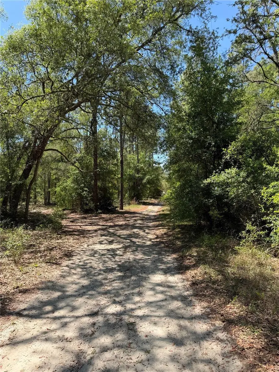 TBD Ne 107th Court, Bronson, FL 32621 - #1