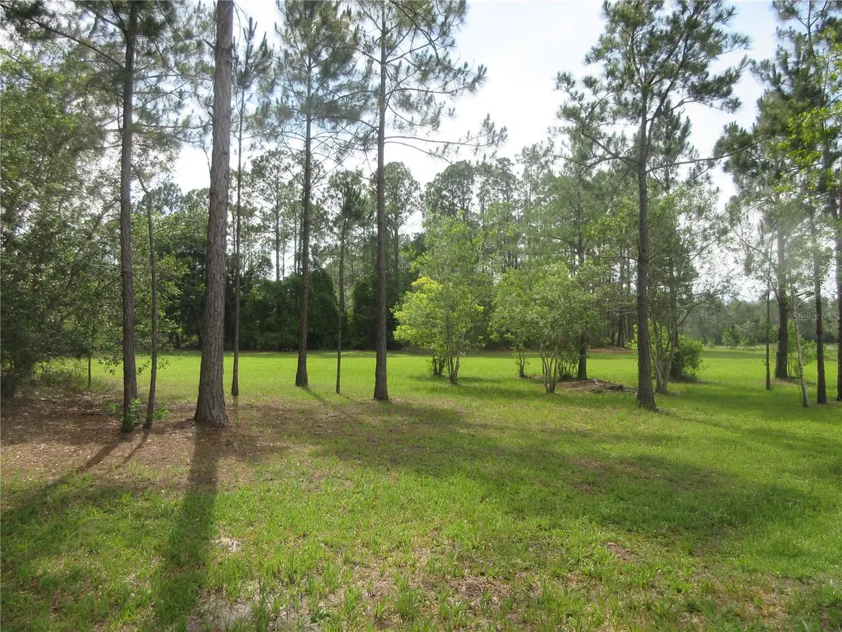 0 SE 10th Street, Silver Springs, FL 34488 - #1