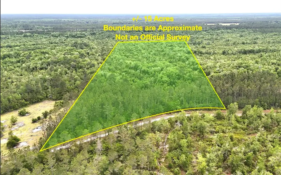 Sweet Gum Road, Glen Saint Mary, FL 32040 - #2