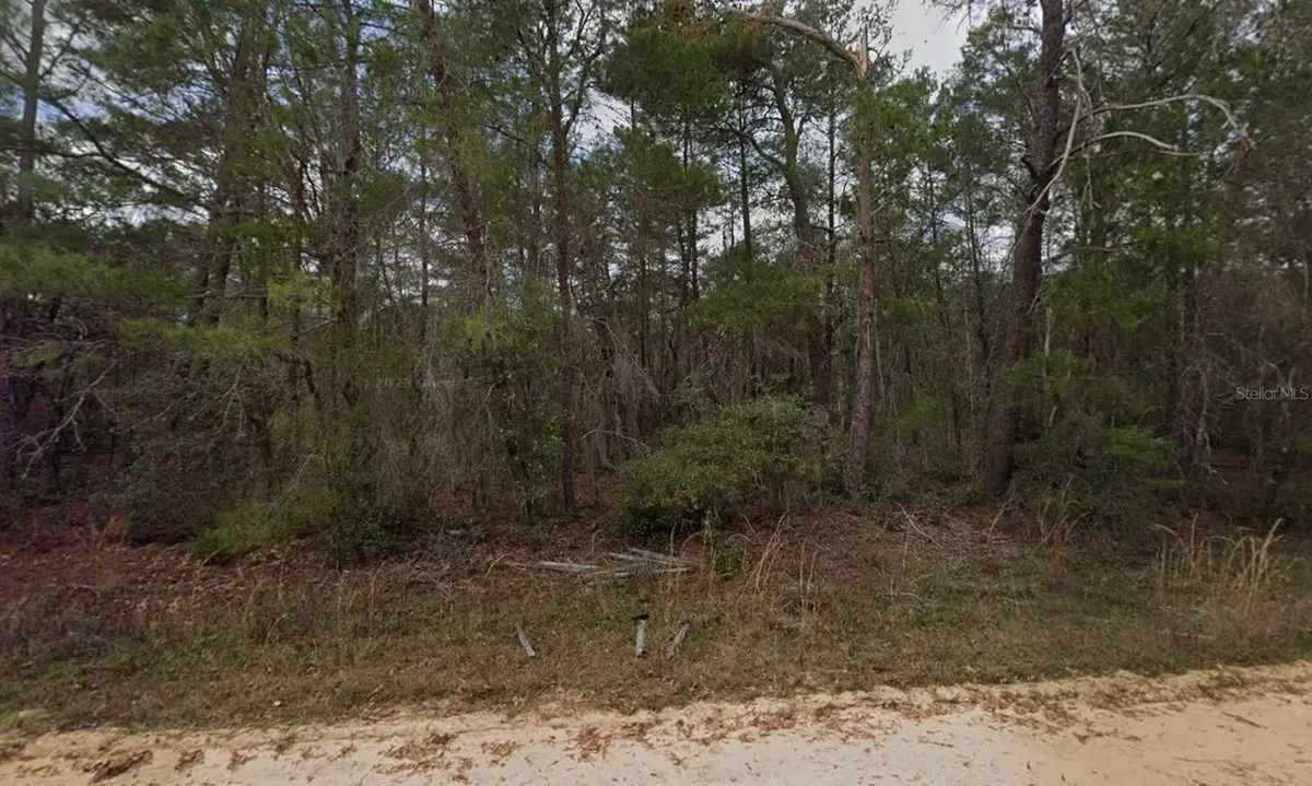 Neilson Ave, Interlachen, FL 32148 - #1