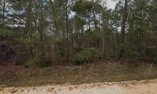 Neilson Ave, INTERLACHEN, FL 32148