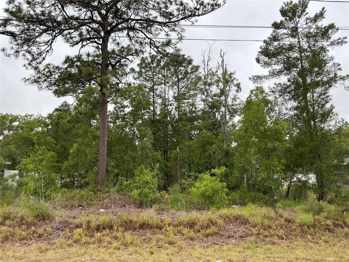 Fisher Lane Terrace, Ocklawaha, FL 32179 - #1