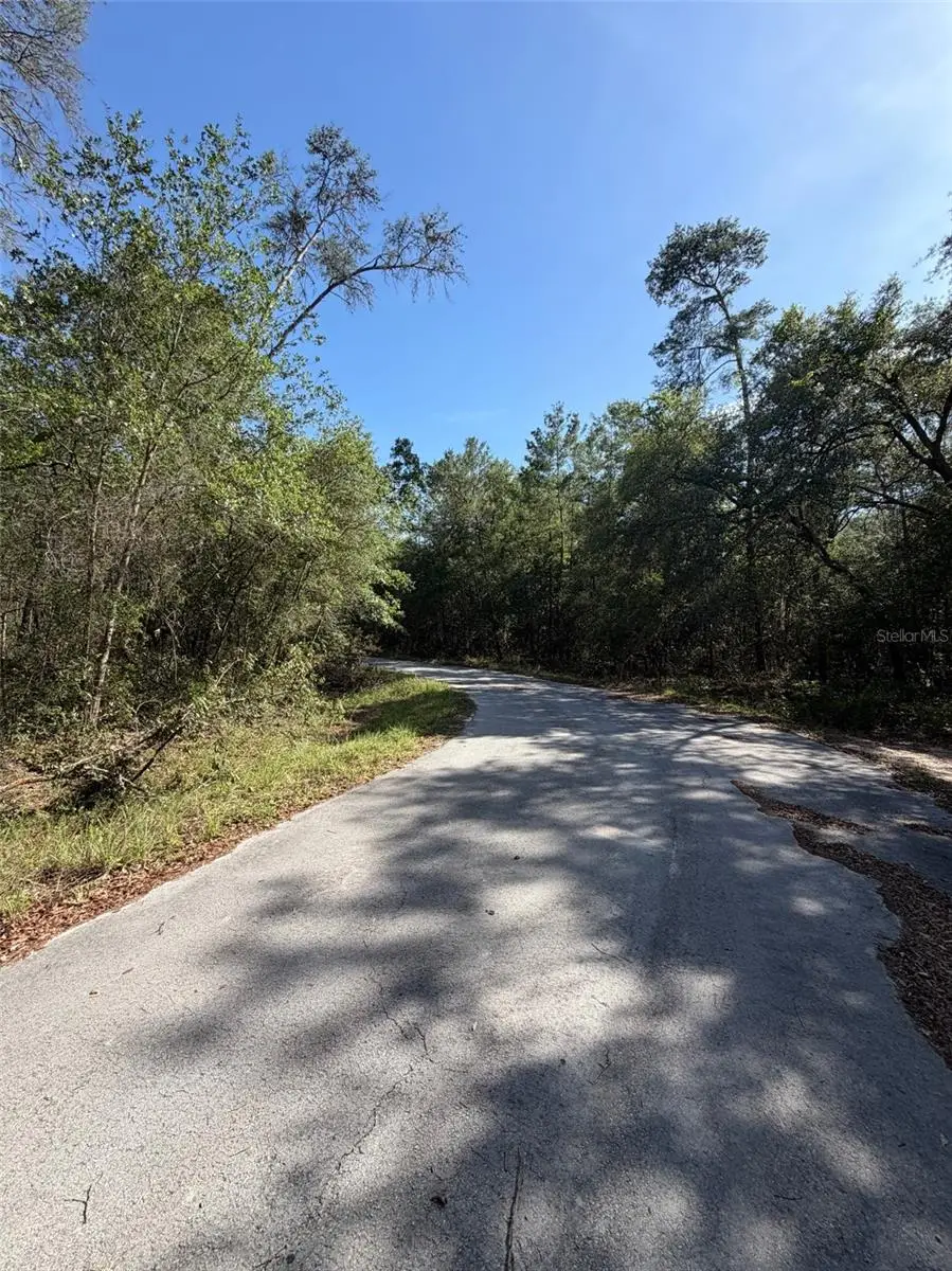 TBD NE 114 Ave Road, Fort McCoy Anthony, FL 32134 - #3