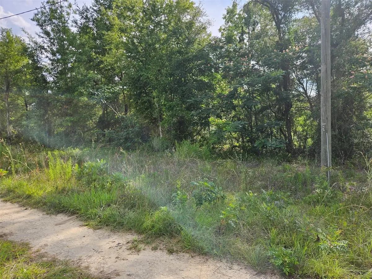 TBD NE 153rd Avenue, Williston, FL 32696 - #1