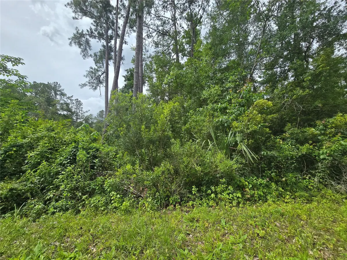 320 Sequoia Drive, Ocklawaha, FL 32179 - #1