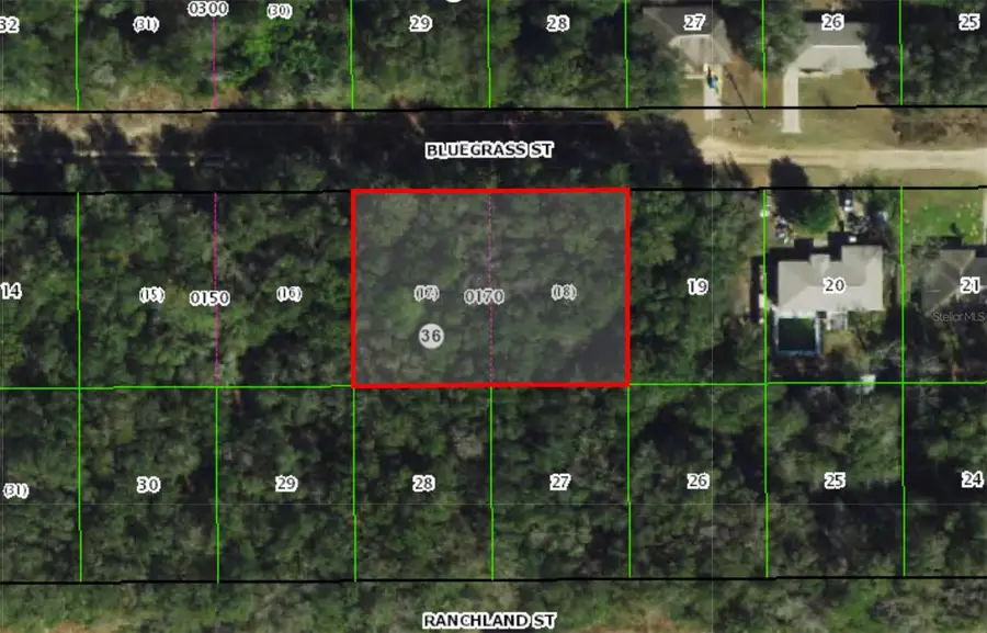 2215 Bluegrass Street, Inverness, FL 34453 - #3