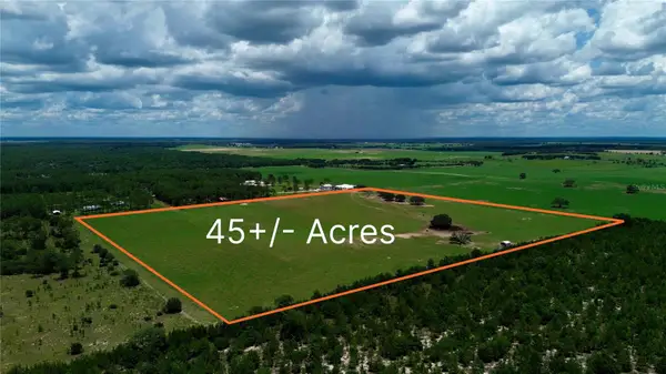 SE 54th Street, MORRISTON, FL 32668