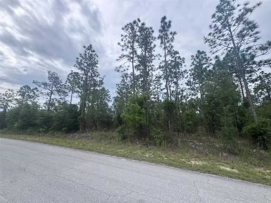 0 SW Egdewater Boulevard, Dunnellon, FL 34431 - #3