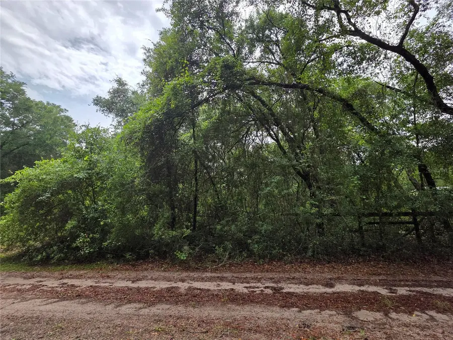 000 NE 138th Terrace, Fort McCoy Anthony, FL 32134 - #2