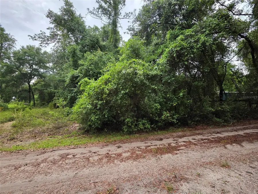 000 NE 138th Terrace, Fort McCoy Anthony, FL 32134 - #3