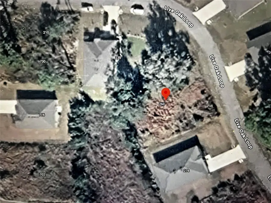 260 Live Oak Loop, Crescent City, FL 32112 - #3