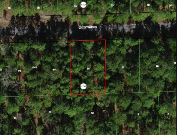 910 W Bannister Drive, CITRUS SPRINGS, FL 34434