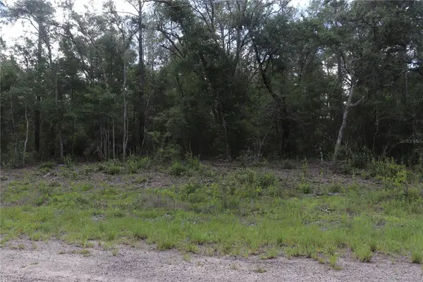 653 Vercelli Lane, DUNNELLON, FL 34434