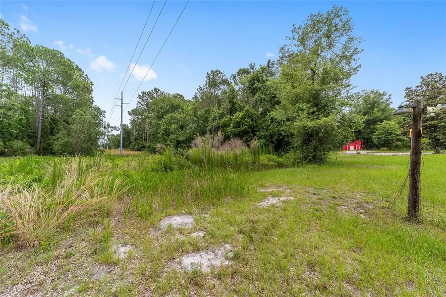 11895 SE 136th Court, Ocklawaha, FL 32179 - #2