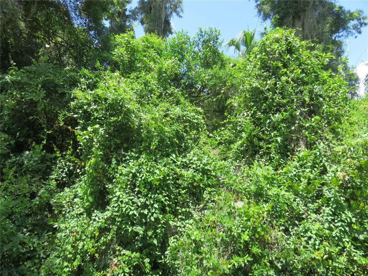 00 SE 142 Place, Summerfield, FL 34491 - #1