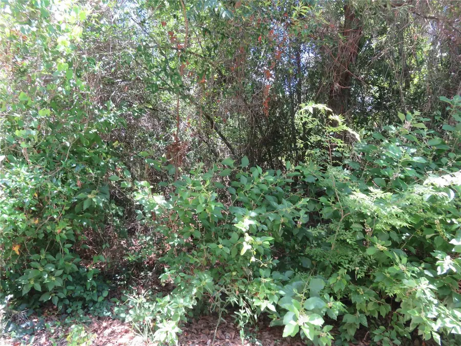 00 SE 142 Place, Summerfield, FL 34491 - #2