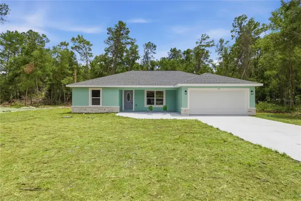 10 Bay Lane, OCKLAWAHA, FL 32179