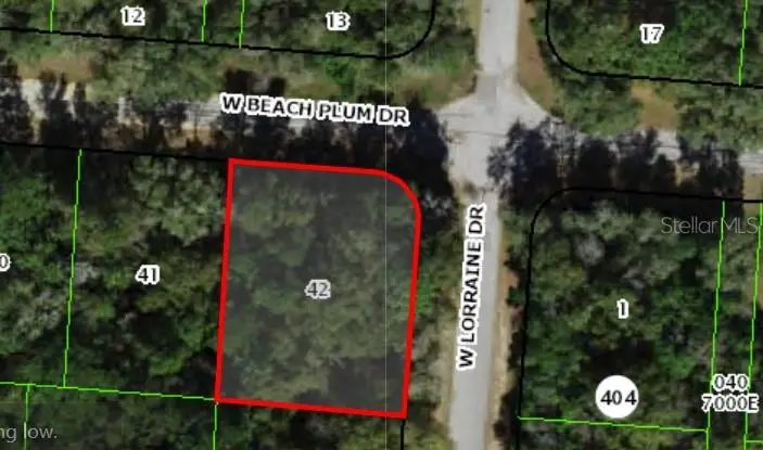 1920 W Beach Plum Drive, Citrus Springs, FL 34434 - #1