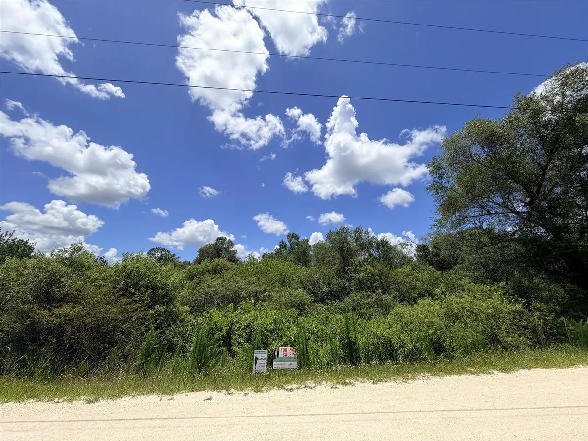 8321 Hardstone Drive, Webster, FL 33597 - #1