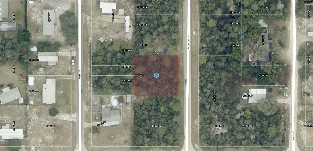 TBD Palmetto Street, Paisley, FL 32767 - #1