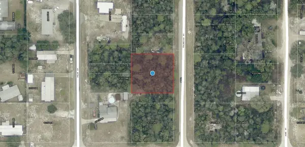 TBD Palmetto Street, PAISLEY, FL 32767