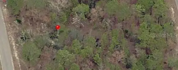 23 Fisher Lane Terrace, OCKLAWAHA, FL 32179