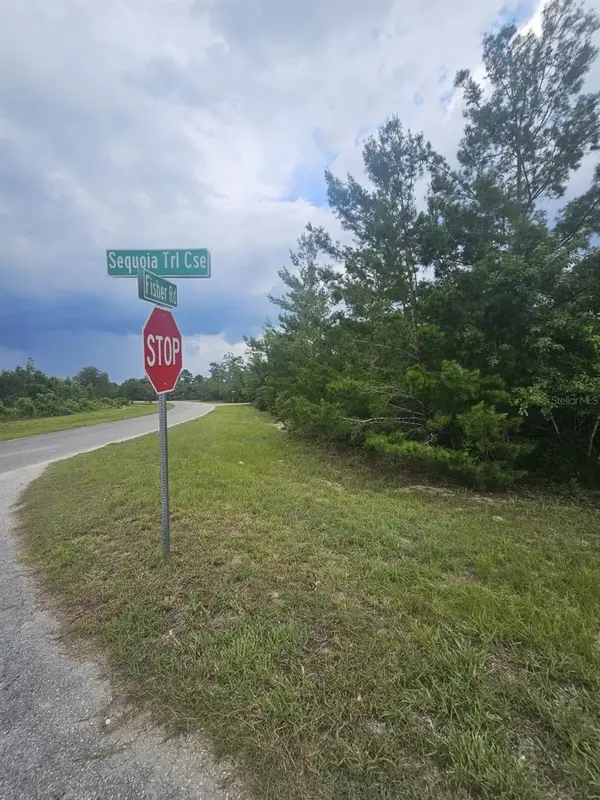 0 Fisher Road, OCKLAWAHA, FL 32179