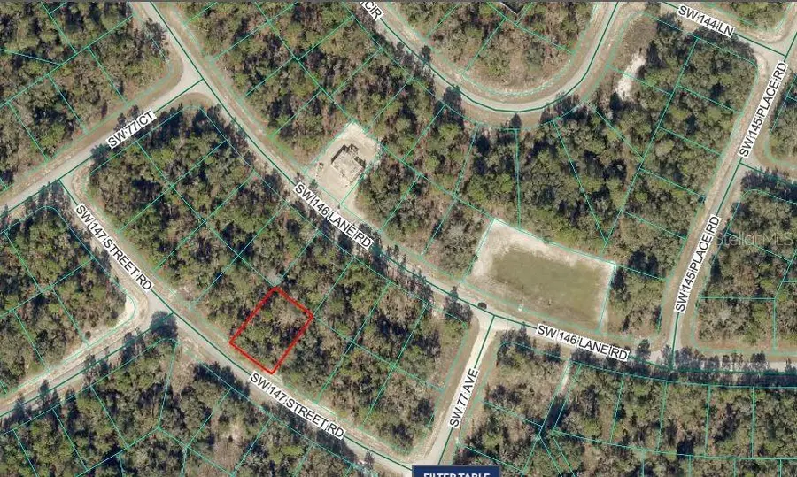 SW 147 Street Road, Ocala, FL 34473 - #2