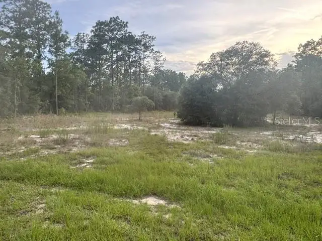 Vacant Land SW Mineola Lane, Dunnellon, FL 34431 - #1