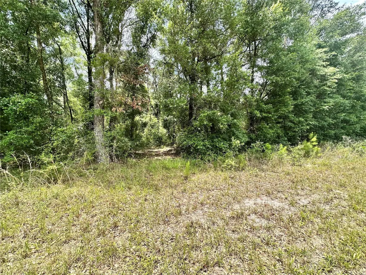 County Road 349 N., Suwannee, FL 32071 - #1