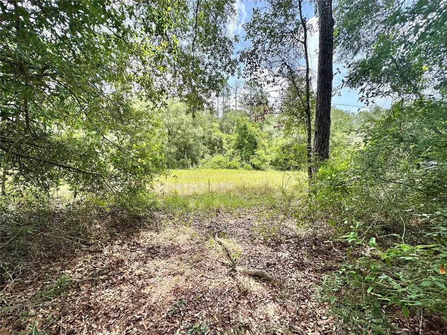County Road 349 N., Suwannee, FL 32071 - #3