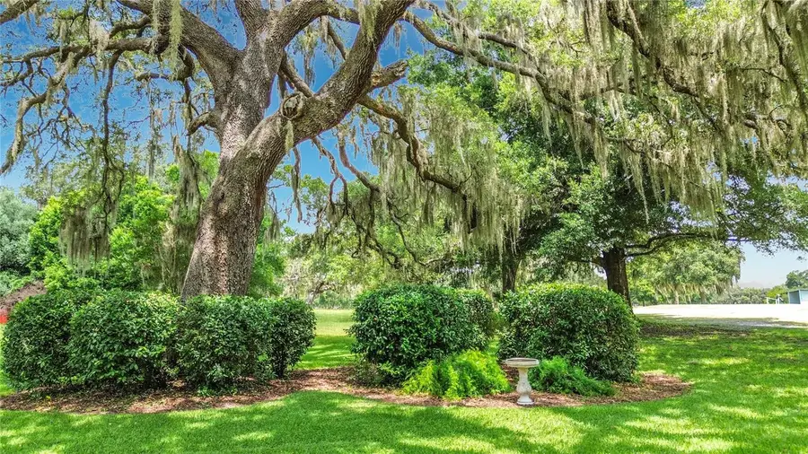 8709 E Sandpiper Drive, Inverness, FL 34450 - #3