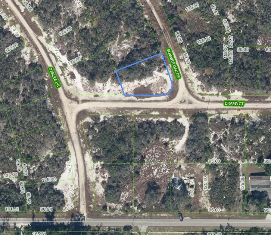 110 Summer Oak Drive, Lake Placid, FL 33852 - #2