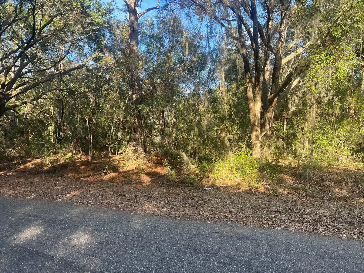 Guava Terrace, Ocklawaha, FL 32179 - #1