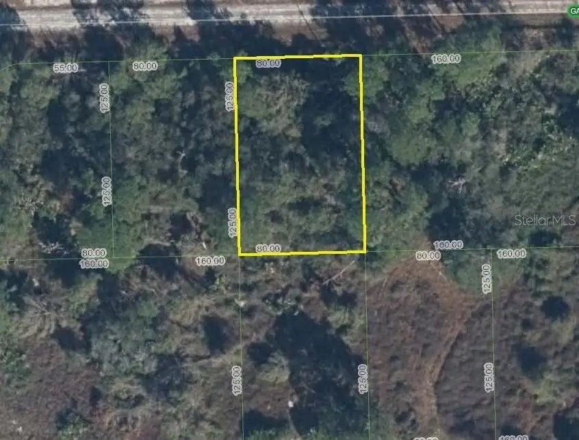 3268 Garden Glen Avenue, Lake Placid, FL 33852 - #1