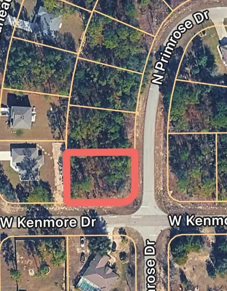7872 N Primrose Drive, Citrus Springs, FL 34434 - #1