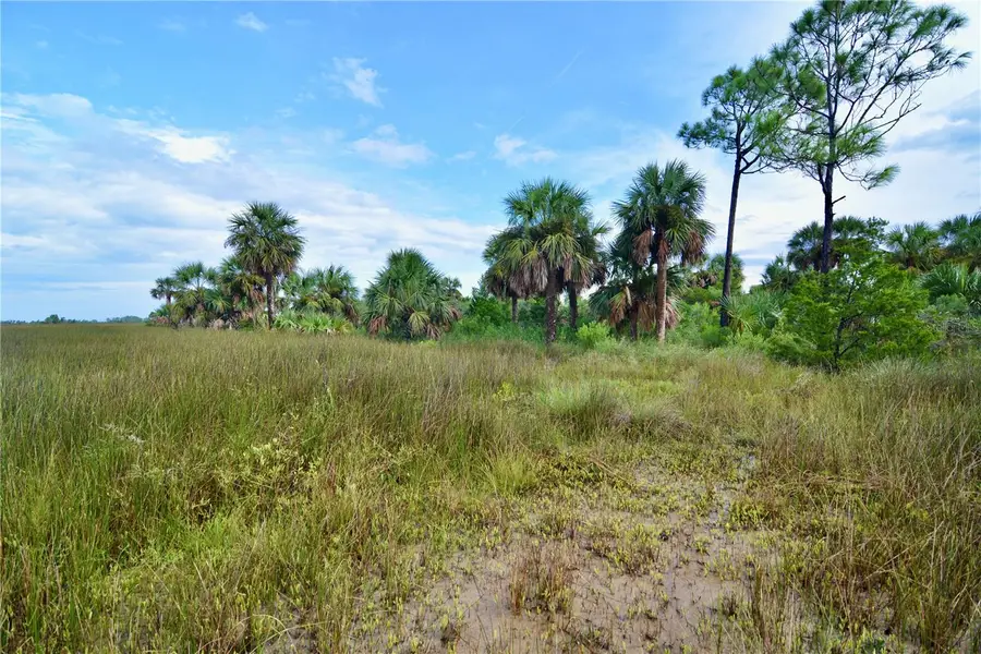 00 Lots 18,19 Adams Beach Road, Perry, FL 32348 - #3