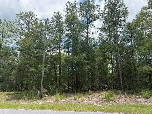 1982 W Roseboro Drive, Dunnellon, FL 34434 - #1