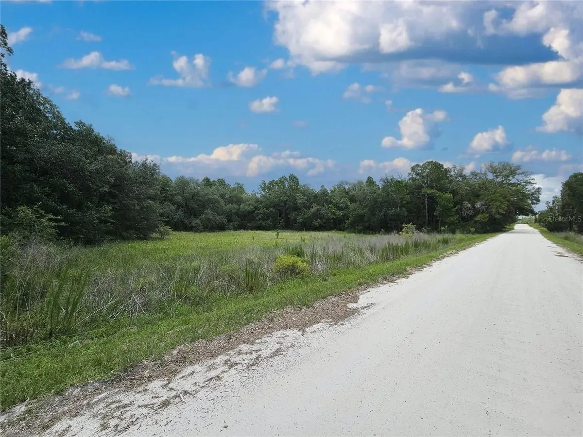 11751 SE 57th Street, Morriston, FL 32668 - #1