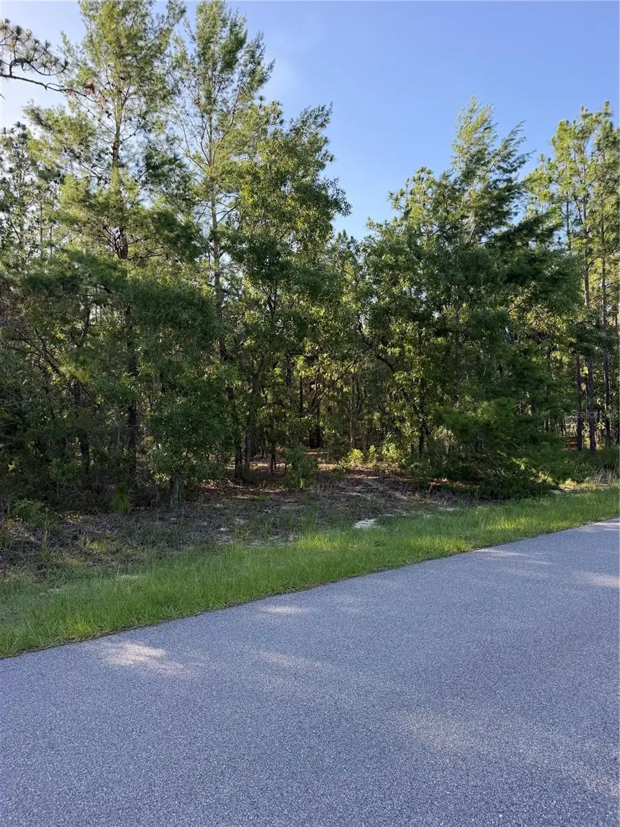 2005 Cr 243e, Wildwood, FL 34785 - #2