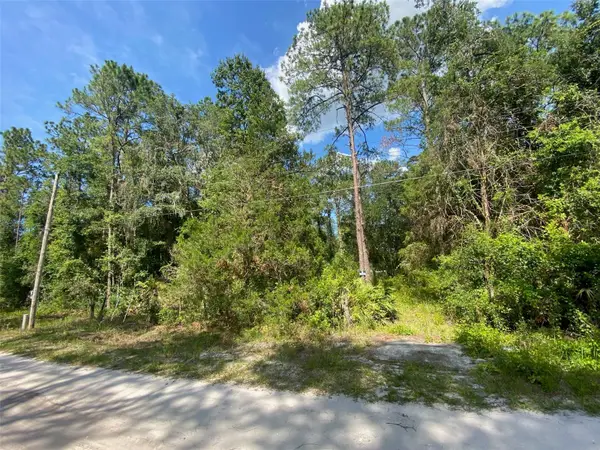 13701 NE 66th Avenue, CITRA, FL 32113