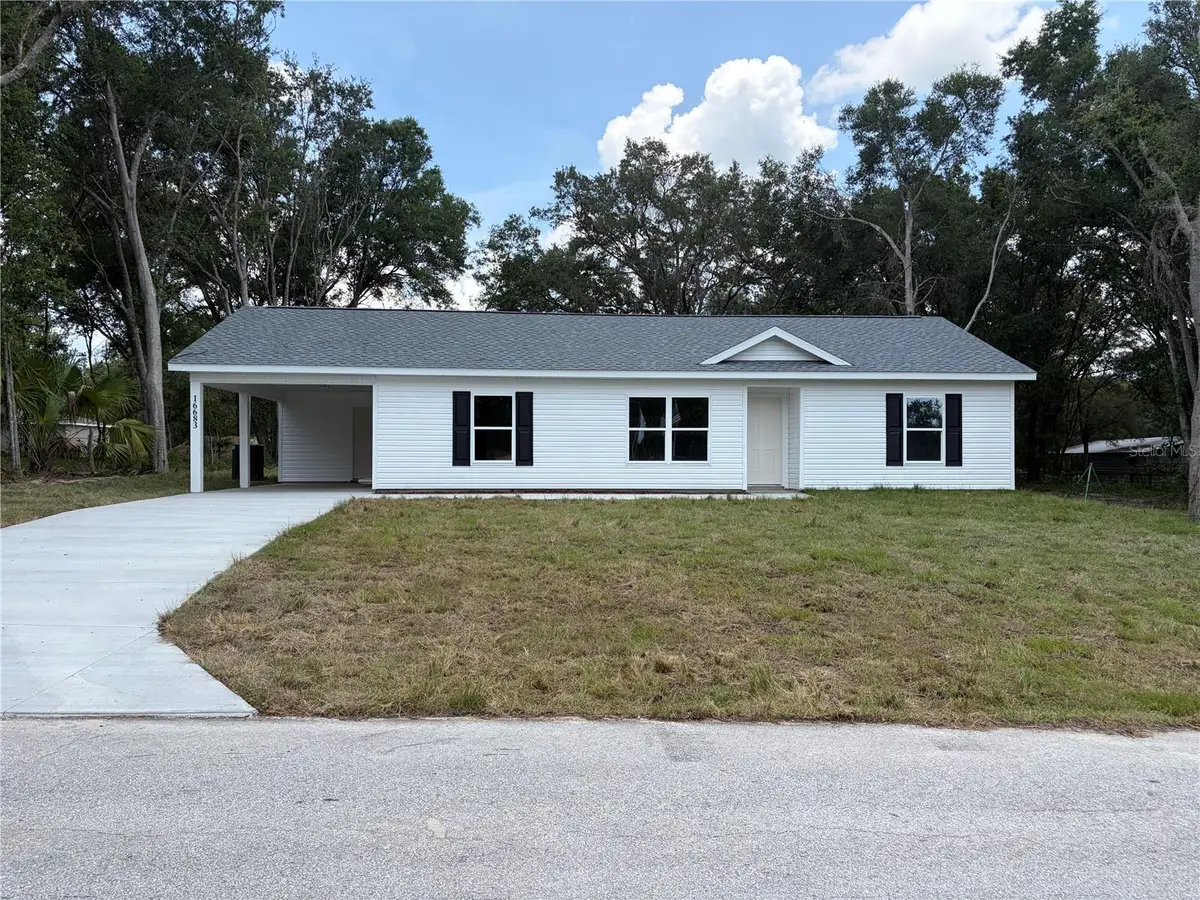 16683 SE 63 Lane, Ocklawaha, FL 32179 - #1