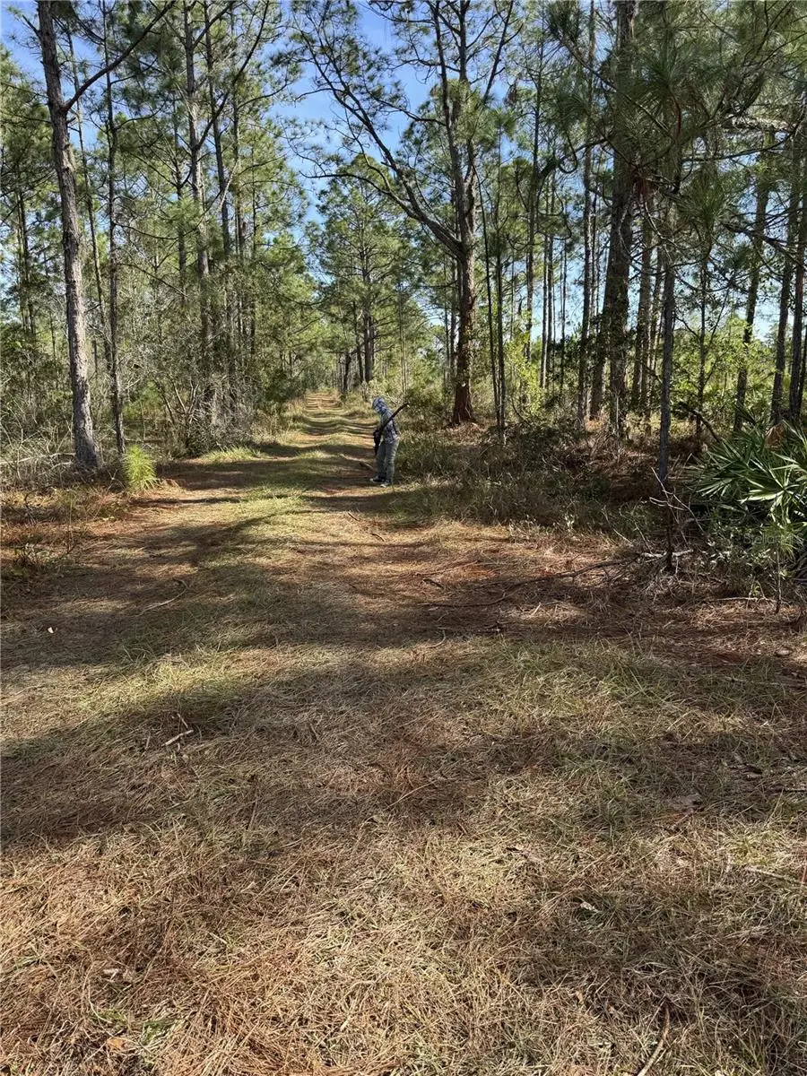 Tbd, Frostproof, FL 33843 - #1