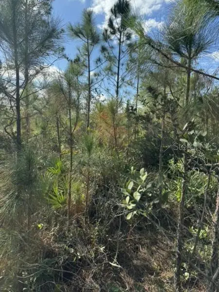 Tbd, Frostproof, FL 33843 - #3