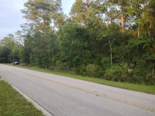NE Hwy 314 Highway Ne, SILVER SPRINGS, FL 34488