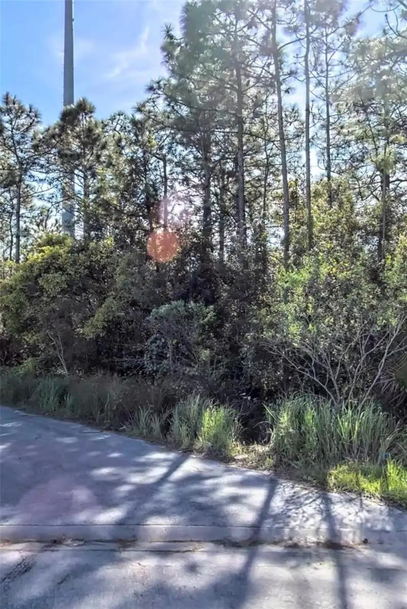 TBD International Drive S, Orlando, FL 32821 - #1
