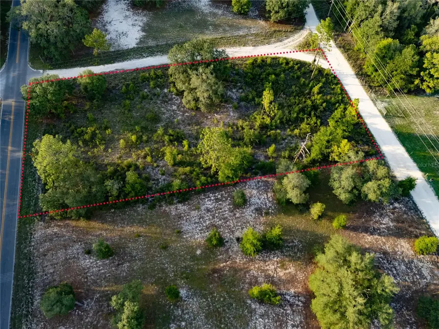 00 NE 104th Court, Bronson, FL 32621 - #3