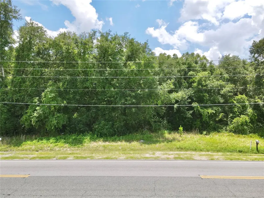 Se Hwy 42, Weirsdale, FL 32195 - #3